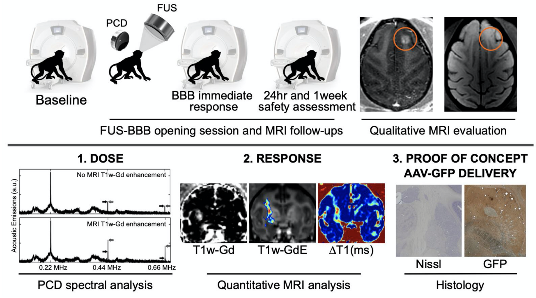 DREAM-ON-FUS methodology: dose, response and proof-of-concept delivery